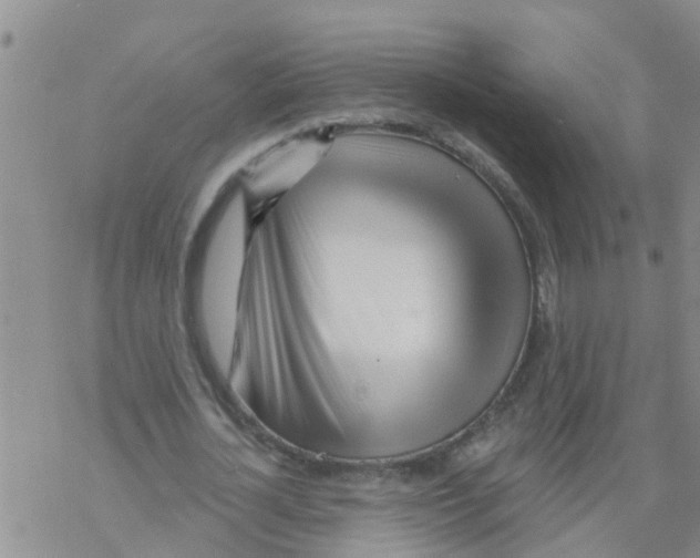 X0000068770724200605262205