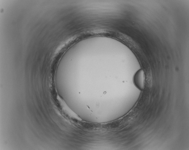 X0000068770732200605262205