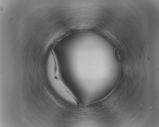 X0000068770735200605262205