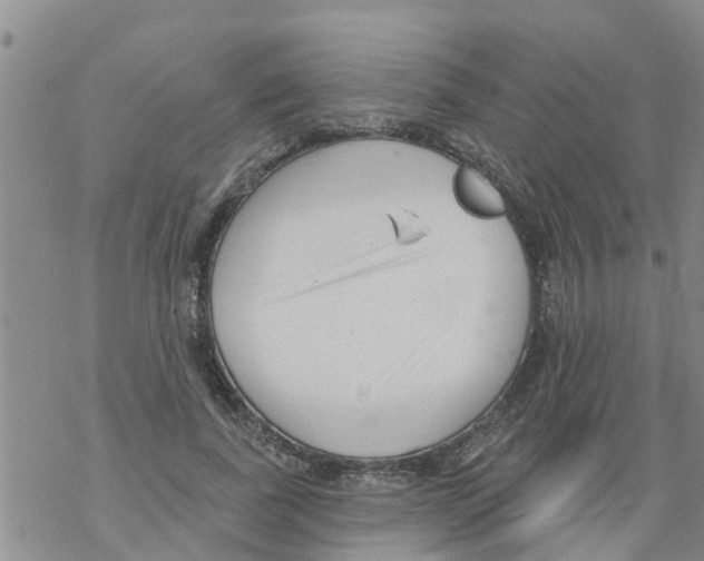 X0000068770739200605262205