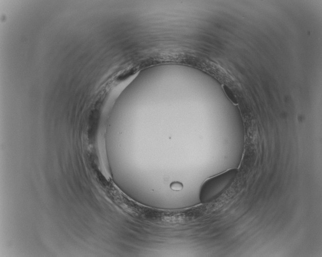 X0000068770744200605262206