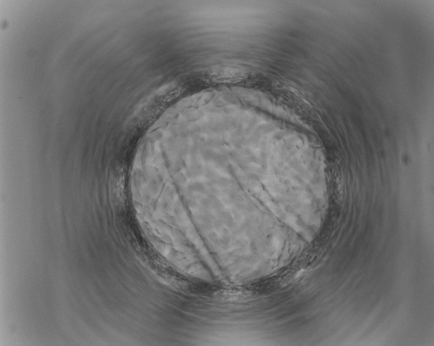 X0000068770745200605262206