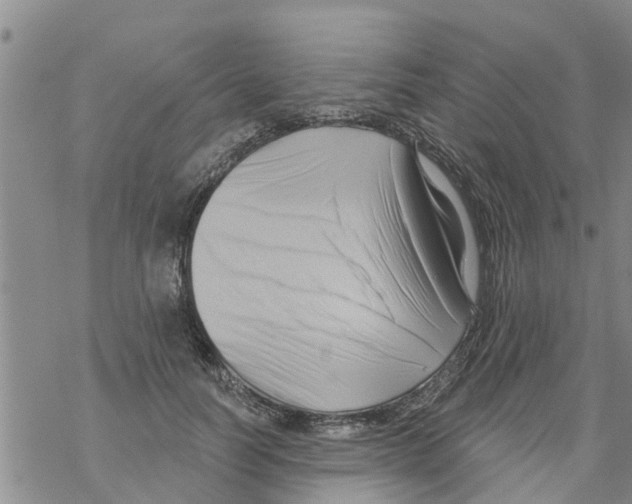 X0000068770746200605262206