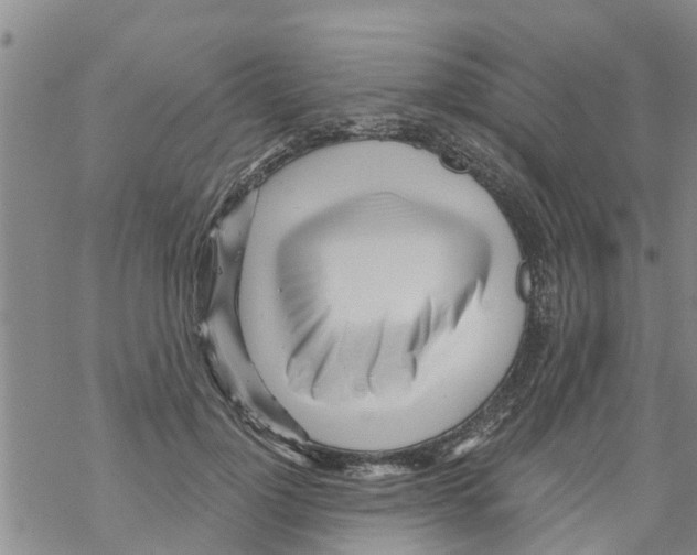 X0000068770748200605262206