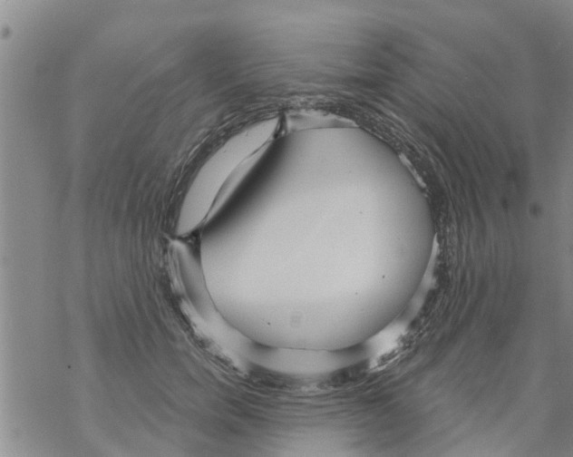 X0000068770750200605262206