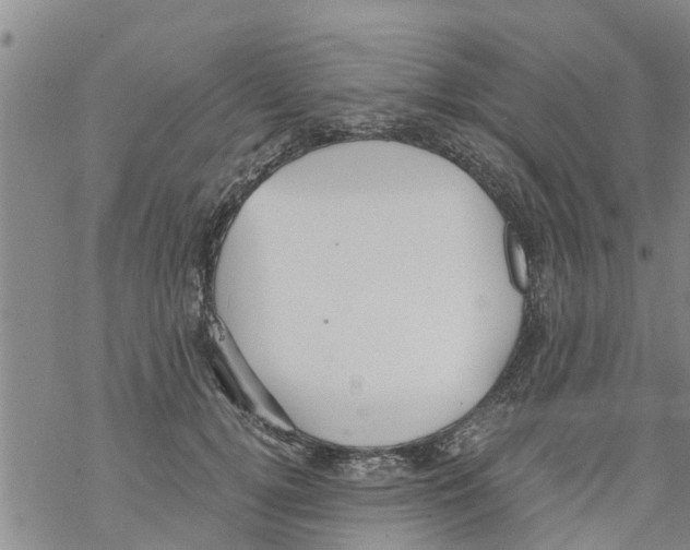 X0000068770752200605262206