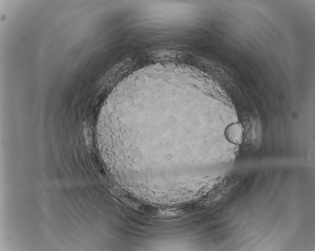 X0000068770753200605262206