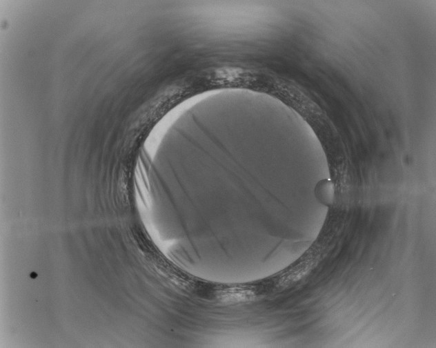 X0000068770754200605262206