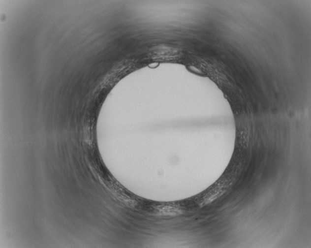 X0000068770755200605262206