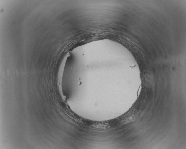 X0000068770756200605262206