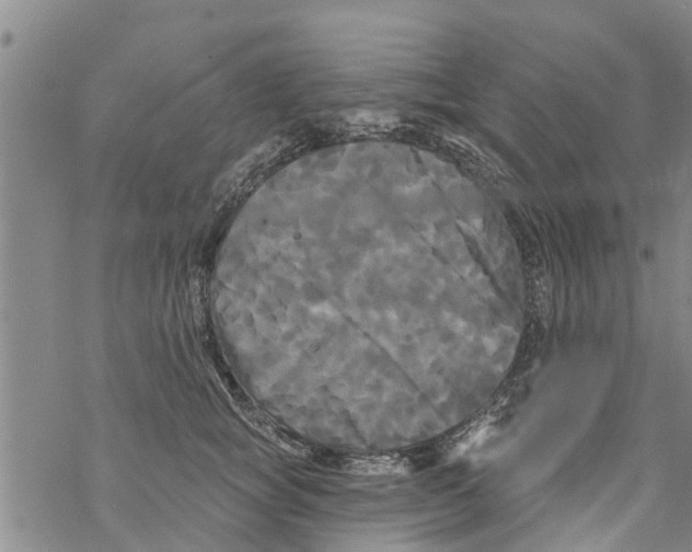 X0000068770757200605262206