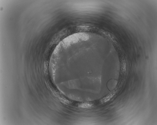 X0000068770759200605262206