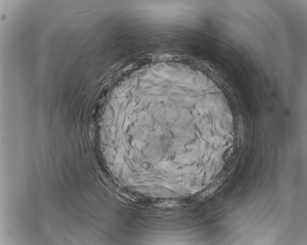 X0000068770761200605262206