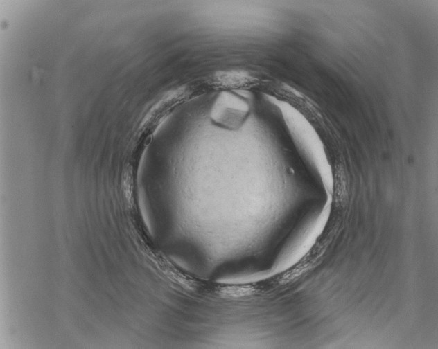 X0000068770762200605262206