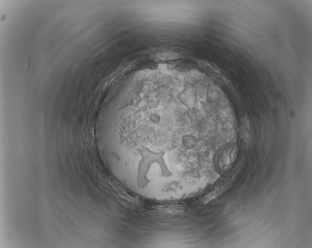 X0000068770763200605262206