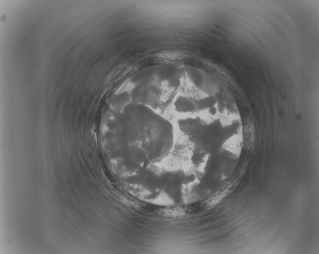 X0000068770765200605262206