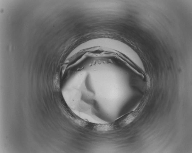 X0000068770766200605262206