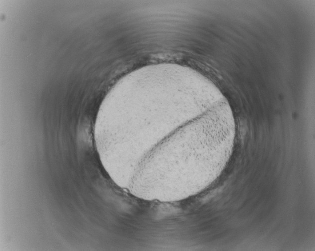 X0000068770770200605262205