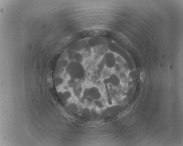 X0000068770771200605262205