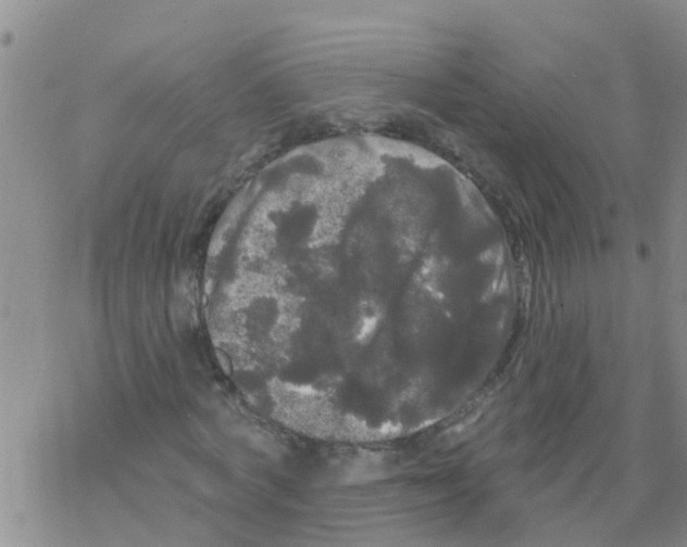 X0000068770772200605262205