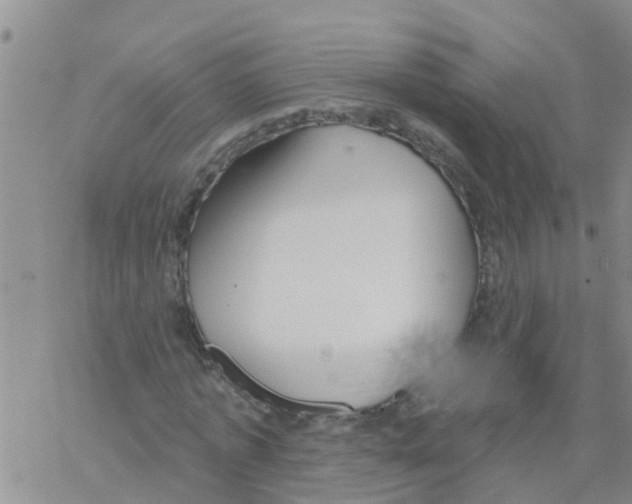 X0000068770773200605262205