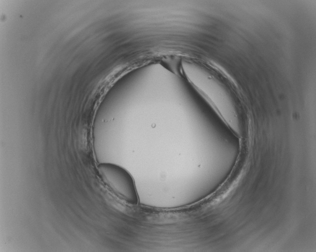 X0000068770777200605262205