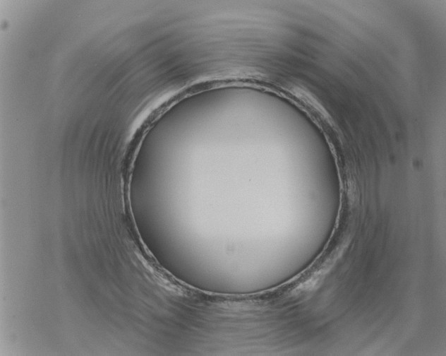 X0000068770781200605262205