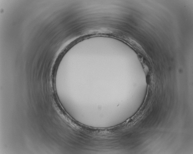 X0000068770784200605262205