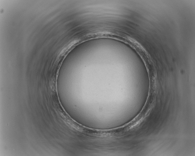 X0000068770785200605262205