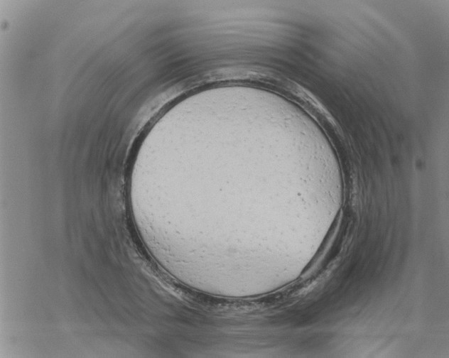 X0000068770786200605262205