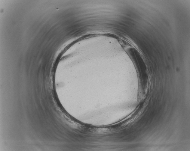 X0000068770787200605262205