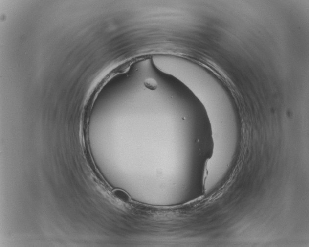 X0000068770788200605262205