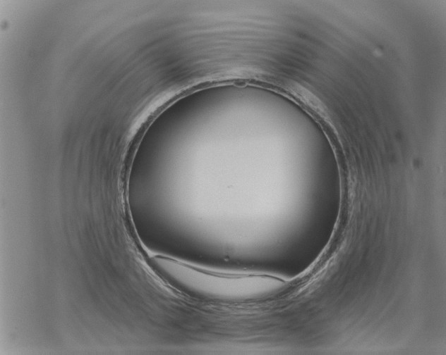 X0000068770789200605262205