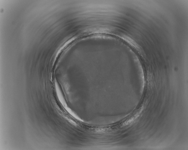 X0000068770790200605262205