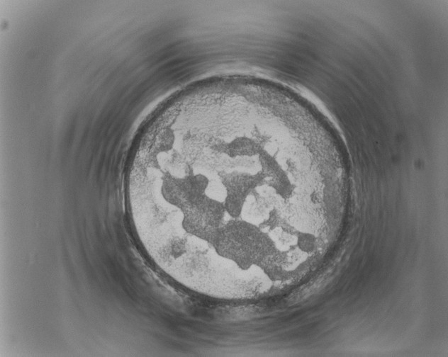 X0000068770791200605262205