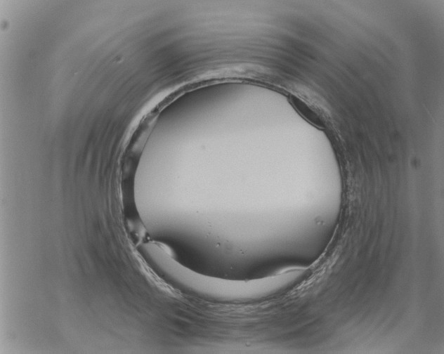 X0000068770792200605262205