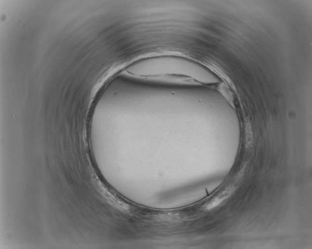 X0000068770797200605262205