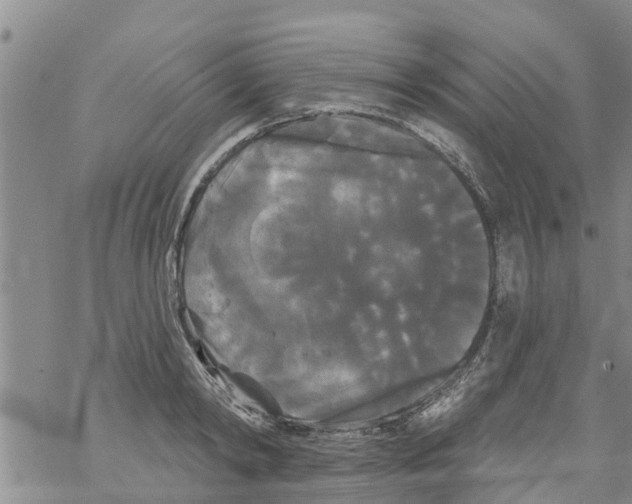 X0000068770798200605262205