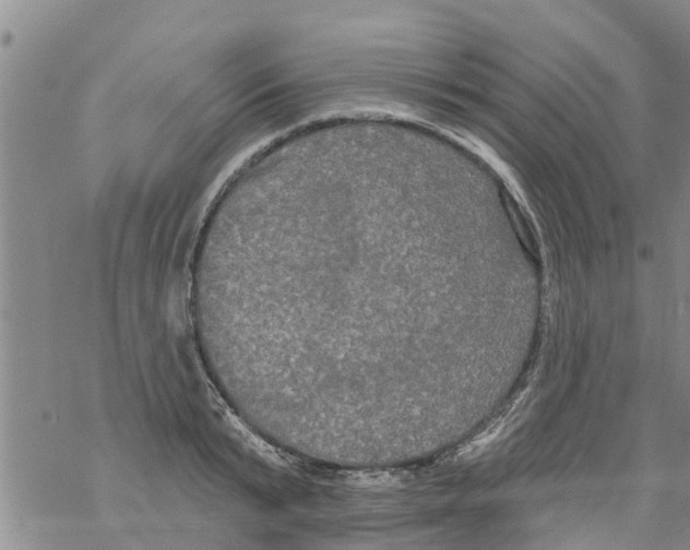 X0000068770799200605262205