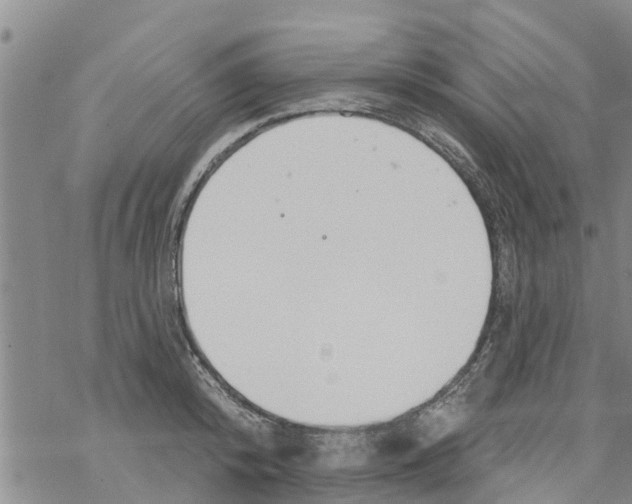 X0000068770800200605262205