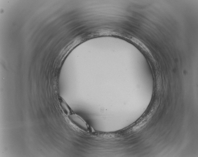 X0000068770801200605262205