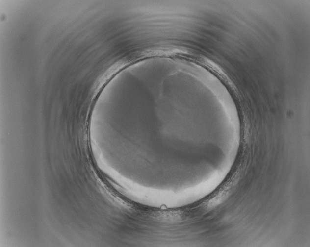 X0000068770802200605262205