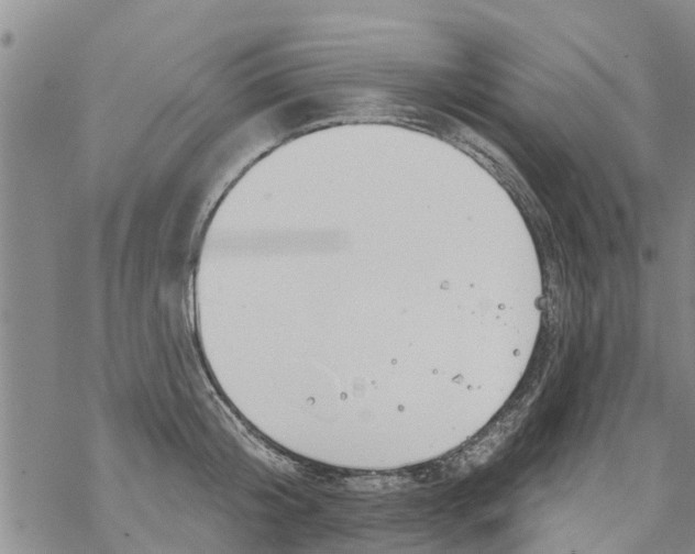 X0000068770804200605262205