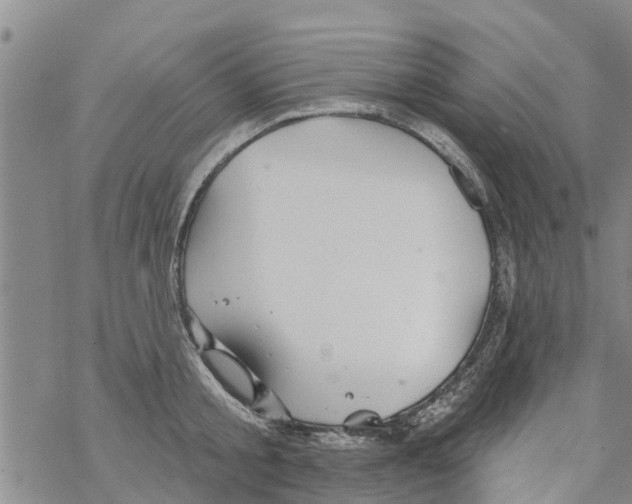 X0000068770805200605262205