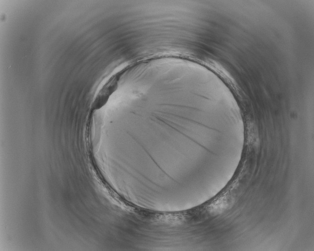 X0000068770806200605262205