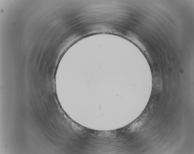 X0000068770807200605262205