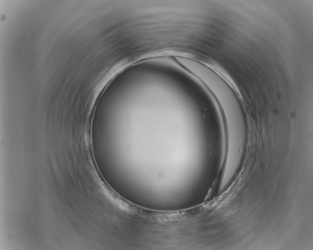 X0000068770813200605262204