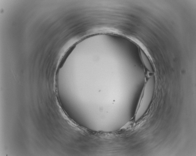 X0000068770815200605262204