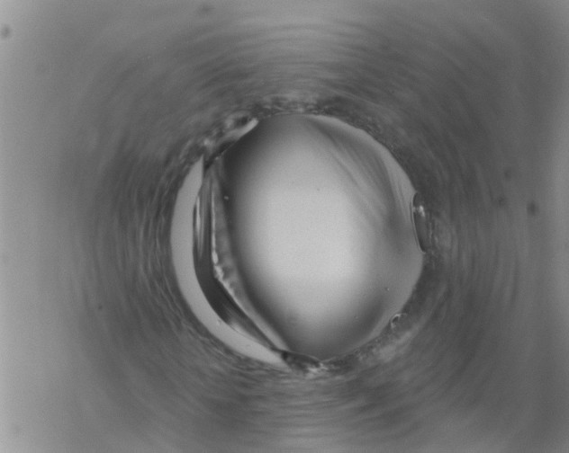 X0000068770818200605262204