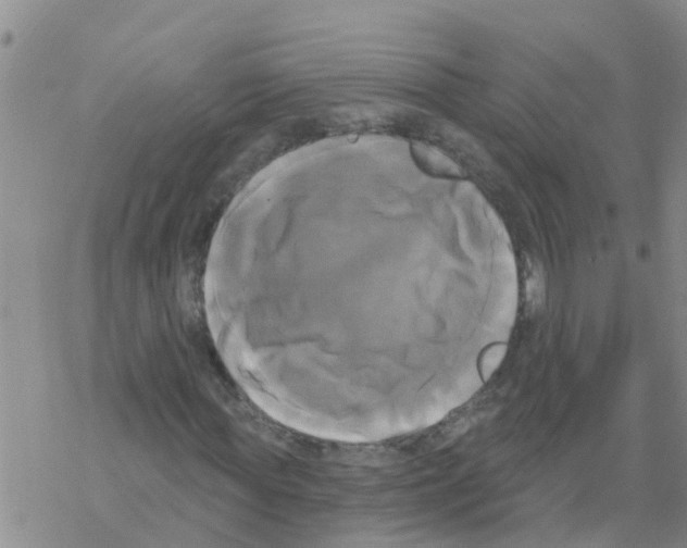 X0000068770819200605262204